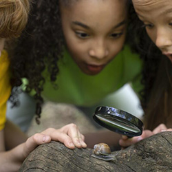 kids-observing-snail